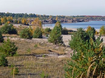 Naturschutzgroßprojekt Lausitzer Seenland 