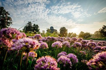 Der nach „Reisen für Alle“ zertifizierte egapark ist das Herzstück der Bundesgartenschau 2021. Copyright: ega gGmbH, Steve Bauerschmidt