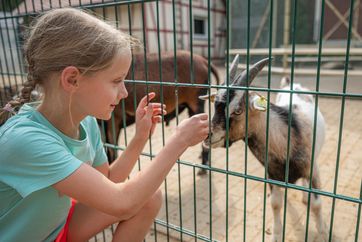 Highlight für Tierliebhaber: Im Tier- und Erlebnispark Lützen können Kinder zutraulichen Ziegen, Schafen und Kaninchen begegnen. Foto: Falko Matte, Saale-Unstrut-Tourismus e.V.