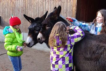 Der Zoo Hoyerswerda lädt Kinder dazu ein, für einen Tag in die Rolle des Tierpflegers zu schlüpfen. Foto: Zoo Hoyerswerda, Stefanie Jürß