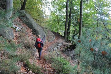 Forststeig Elbsandstein