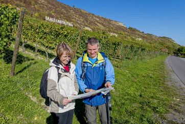 Wandern entlang der Saalhäuser Weinberge in Bad Kösen. Foto: Christoph Keller