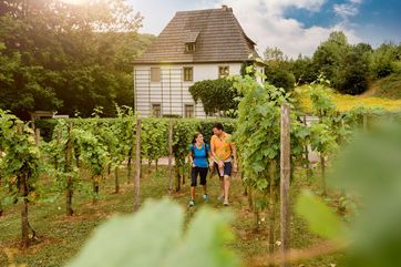 Bad Sulzaer Weinwanderweg mit dem Goethe-Gartenhaus II im Hintergrund, Foto: Saale-Unstrut-Tourismus e.V., Transmedial