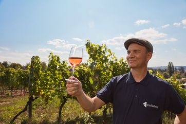 Kellermeister Felix Hößelbarth von der Hoflößnitz lädt zum „Sommer der offenen Weingüter“ ein. Foto: Max Schroeder