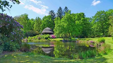 Hage, Juli, Ostfriesland, Rhododendron, Schloss, Schloss Lütetsburg, Schlosspark, Sommer