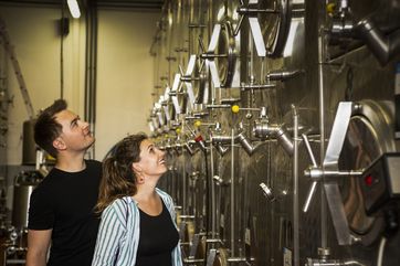 Bei den Tagen des offenen Weingutes in Sachsen erhalten Besucher Einblicke in moderne Weinkeller. Foto: Martin Förster (DML-BY)