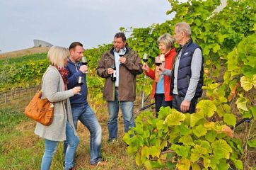 Andreas Wobar (Mitte) führt Gäste durch seinen Weinberg am Großräschener See. Bildnachweis: Tourismusverband Lausitzer Seenland / Nada Quenzel