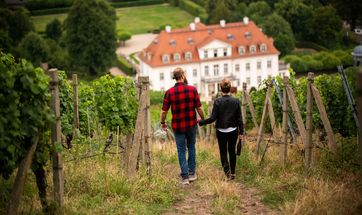 Spaziergang durch die Weinberge zum Schloss Wackerbarth. Foto: Martin Förster (DML-BY) 