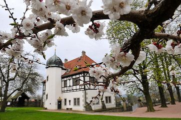 In Radebeul lädt das Weingut Hoflößnitz unter anderem zur Führung durch das Weinbaumuseum ein. Foto: Hoflößnitz