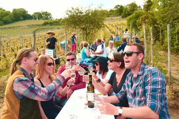 In den Weinbergen feiern: Mit der Saale-Weinmeile eröffnet Saale-Unstrut am Pfingstwochenende die Weinfestsaison. Foto: Torsten Biel