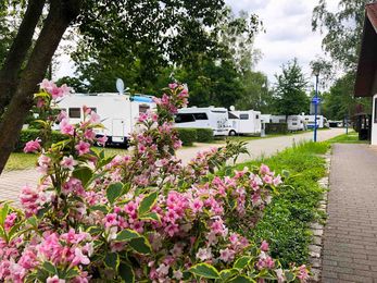 Frühling auf dem Komfortcamping am Senftenberger See.  Foto: Zweckverband Lausitzer Seenland Brandenburg